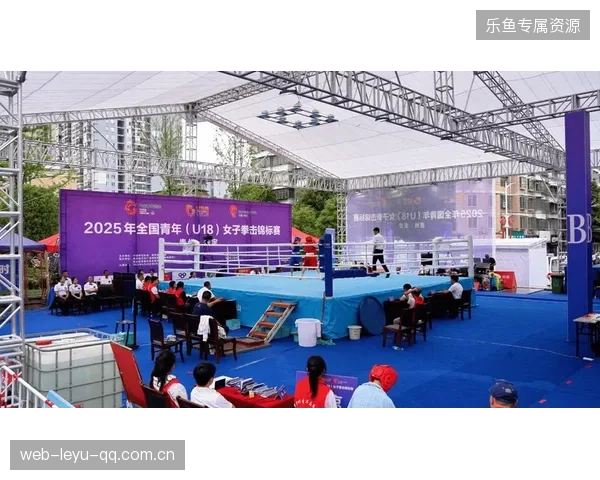 拳击拳手战术细腻，非盲目挥拳获胜——揭秘真正的胜利之道